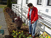 Zion Lutheran, March 19, 2010. - Click to enlarge.