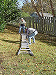 Zion Lutheran, November 13, 2010. - Click to enlarge.