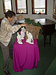 Zion Lutheran, November 27, 2010. - Click to enlarge.