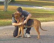 Officer Heath Mosley