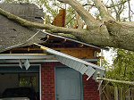Picture of Hurricane damage.