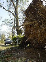 Picture of Damage from Hurricane Ivan.