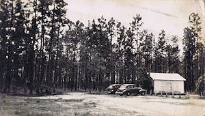Photo of Dvorak collection.