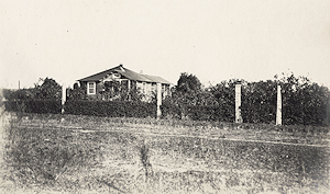Photo of Dvorak Photo Collection.