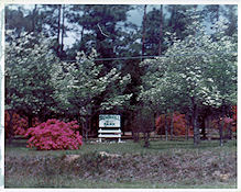 Park