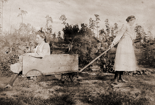 Lois Slosson - Click to Enlarge. Photo of Lois Slosson