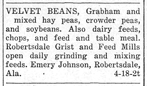 Newspaper Clipping - Click to Enlarge. Photo of Newspaper Clipping