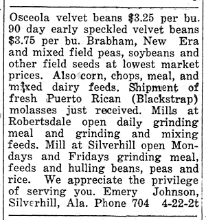 Newspaper Clipping - Click to Enlarge. Photo of Newspaper Clipping
