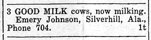 Newspaper Clipping - Click to Enlarge. Photo of Newspaper Clipping