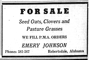 Newspaper Clipping - Click to Enlarge. Photo of Newspaper Clipping
