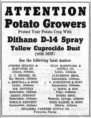 Newspaper Clipping - Click to Enlarge. Photo of Newspaper Clipping