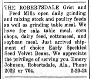 Newspaper Clipping - Click to Enlarge. Photo of Newspaper Clipping