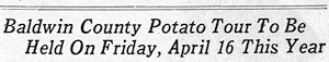 Newspaper Clipping - Click to Enlarge. Photo of Newspaper Clipping