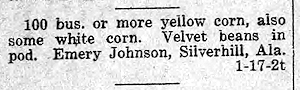 Newspaper Clipping - Click to Enlarge. Photo of Newspaper Clipping