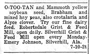 Newspaper Clipping - Click to Enlarge. Photo of Newspaper Clipping