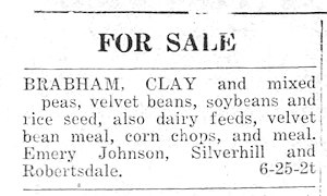 Newspaper Clipping - Click to Enlarge. Photo of Newspaper Clipping