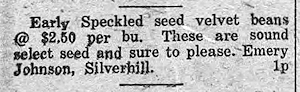 Newspaper Clipping - Click to Enlarge. Photo of Newspaper Clipping