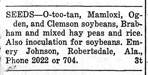 Newspaper Clipping - Click to Enlarge. Photo of Newspaper Clipping