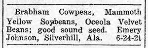 Newspaper Clipping - Click to Enlarge. Photo of Newspaper Clipping