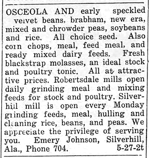 Newspaper Clipping - Click to Enlarge. Photo of Newspaper Clipping