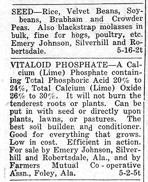 Newspaper Clipping - Click to Enlarge. Photo of Newspaper Clipping