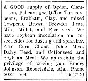 Newspaper Clipping - Click to Enlarge. Photo of Newspaper Clipping