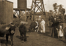 Oscar Johnson barnyard 1899. The camera view is looking NE.