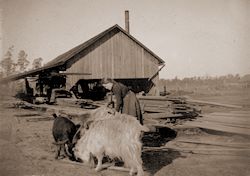 The Slosson Sawmill 1900 - Click to Enlarge. Photo of The Slosson Sawmill 1900
