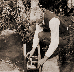 Photo of Frank Stewart